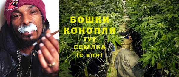 ешки Белокуриха