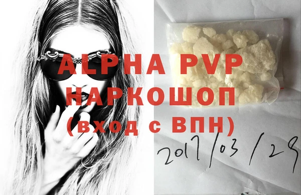 ешки Белокуриха
