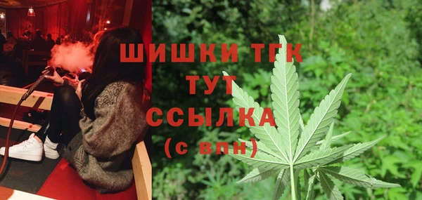 ешки Белокуриха