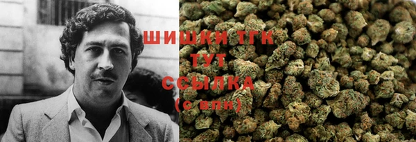 ешки Белокуриха