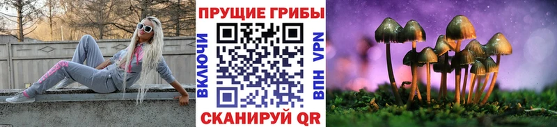 KRAKEN сайт  Тихвин  Галлюциногенные грибы GOLDEN TEACHER  магазин продажи наркотиков 